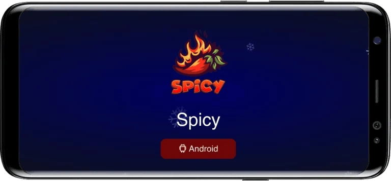 Spicy Bet Interface, Navegação e Design